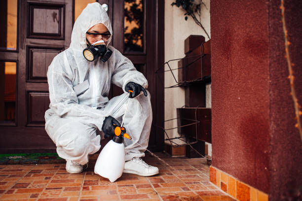 Reliable Wasp Removal contractor in Amity Gardens, PA by Show Me Pest Control